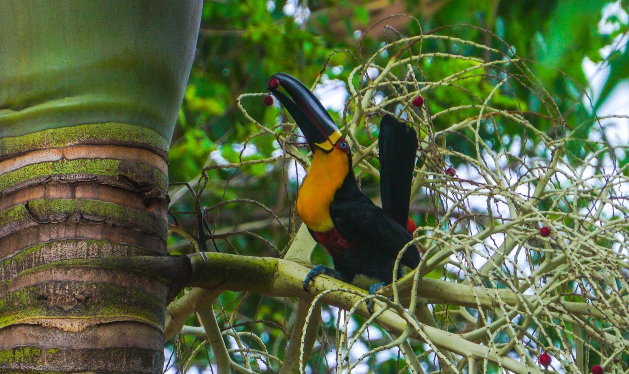 Pousada Do Moca Florianópolis Εξωτερικό φωτογραφία